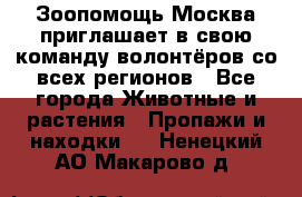 Зоопомощь.Москва приглашает в свою команду волонтёров со всех регионов - Все города Животные и растения » Пропажи и находки   . Ненецкий АО,Макарово д.